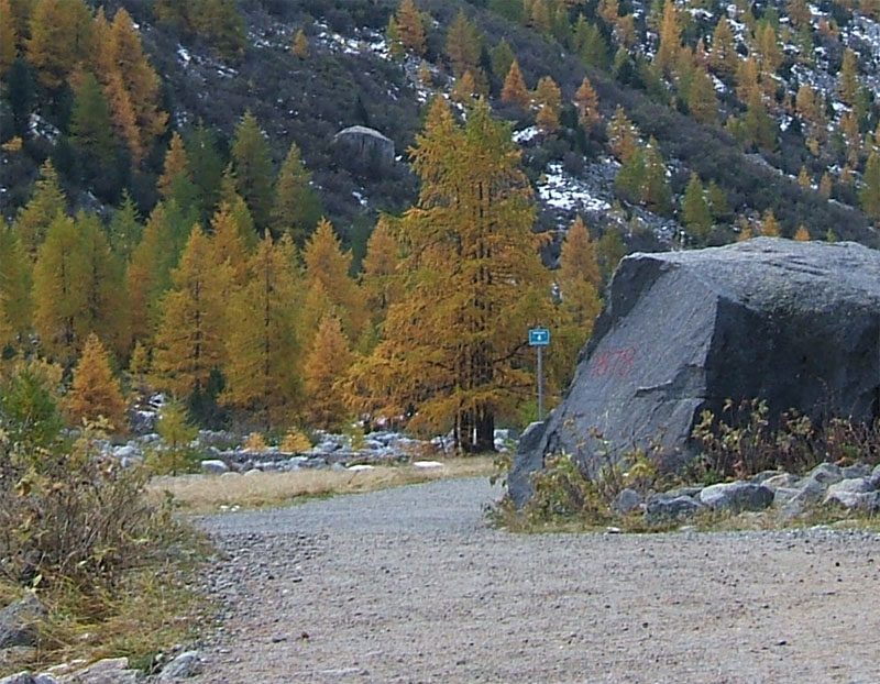 Il ghiacciaio del Morteratsch - Piz Bernina